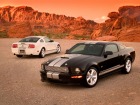 Ford Shelby GT (2006)