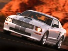 Ford Shelby GT (2006)