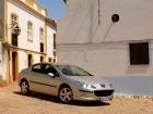 Peugeot 407 (2004)