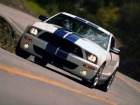 Shelby Cobra GT500