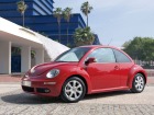 VW New Beetle (2005)