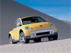 VW New Beetle Dune