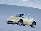 VW New Beetle Dune