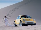 VW New Beetle Dune